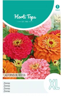 Zaden - Zinnia Californische Reuzen gemengd