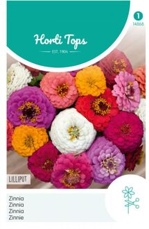 Zaden - Zinnia Liliput/Pompon dubbelbl. gemengd