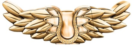 Zadig & Voltaire Eau de Parfum Zadig & Voltaire Zadig EDP Intense 50 ml