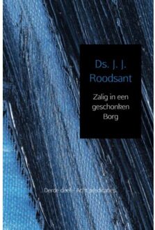Zalig in een geschonken borg / 3 - Boek J.J. Roodsant (940216345X)