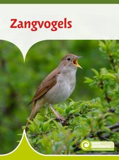 Zangvogels - Junior Informatie - Geert-Jan Roebers