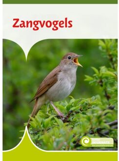 Zangvogels - Junior Informatie - Geert-Jan Roebers