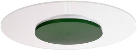 Zaniah LED plafondlamp, 360° licht, 24W, groen bladgroen, transparant