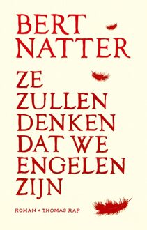 Ze zullen denken dat we engelen zijn - eBook Bert Natter (9400404557)