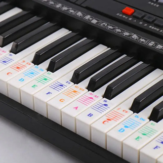 Zebra Colorful 61/88 key Electronic Piano Keyboard Piano Keyboard Note transparent Sticker for White Keys Piano Learner practice