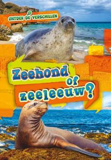 Zeehond Of Zeeleeuw? - Ontdek De Verschillen - Kirsten Chang
