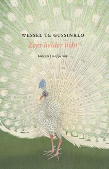Zeer helder licht -  Wessel Te Gussinklo (ISBN: 9789083347165)