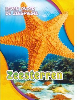 Zeesterren - Boek Rebecca Pettiford (9463411127)