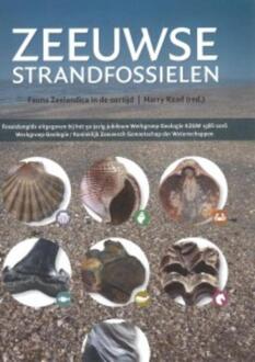 Zeeuwse strandfossielen - Boek Vrije Uitgevers, De (9492170175)