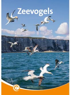 Zeevogels - Informatie - Zeger van Mersbergen