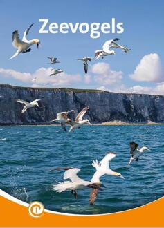 Zeevogels -  Zeger van Mersbergen (ISBN: 9789464390711)
