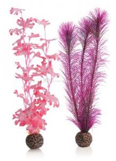 Zeewier - Aquarium Plant - Medium - Roze 29cm 2st