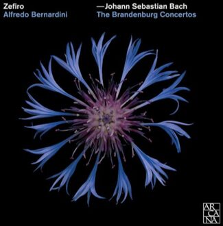 Zefiro - Johann Sebastian Bach: The Brandenburg Concertos CD
