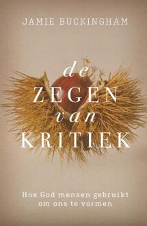 Zegen van kritiek, De -  Jamie Buckingham (ISBN: 9789059992917)