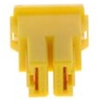 Zekering ASSERIEFEMALE