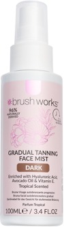 Zelfbruiner brushworks Gradual Tanning Face Mist Dark 100 ml