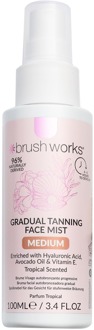 Zelfbruiner brushworks Gradual Tanning Face Mist Medium 100 ml