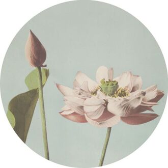 Zelfklevende Behangcirkel Lotusbloem Oudroze En Vergrijsd Blauw - Ø 70 Cm