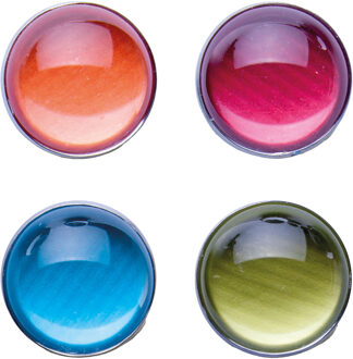 Zeller koelkast/whiteboard magneten - 4x - 2,5 cm - Magneten