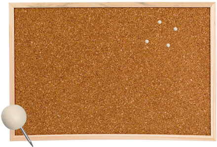 Zeller Prikbord van kurk - 58 x 39 cm - inclusief 25x houten bol punaises - memobord - thuis - kantoor