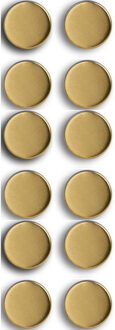 Zeller Whiteboard/koelkast magneten extra sterk - 12x - goud - 2 cm