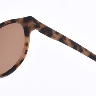 Zen Unisex Pantos Gevormde Acetaat Zonnebril Z423 - maat Veelkleurig