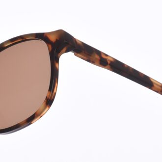 Zen Z422 Unisex Vierkante Vorm Acetaat Zonnebril Bruin