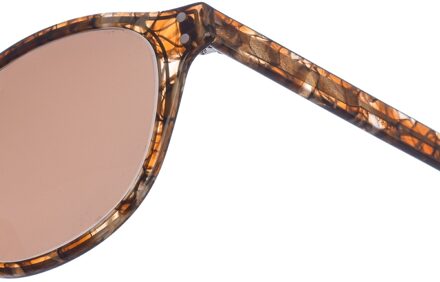 Zen Z470 ovale acetaat zonnebril voor dames Bruin - One Size