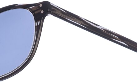 Zen Z470 ovale acetaat zonnebril voor dames Donkergrijs