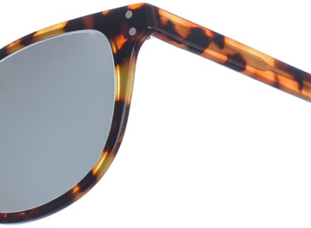 Zen Z473 dames zonnebril met vierkant acetaat Veelkleurig