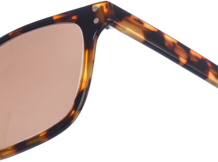 Zen Z475 dames zonnebril met vierkant acetaat Veelkleurig