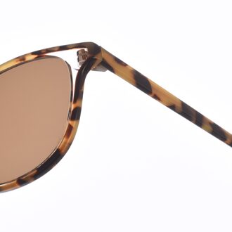 Zen Z489 dames zonnebril met vierkant acetaat Bruin - One Size