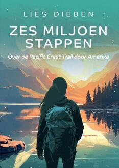 Zes miljoen stappen -  Lies Dieben (ISBN: 9789083391311)