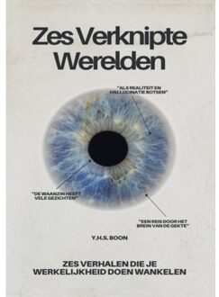 Zes Verknipte Werelden - Y.H.S. Boon