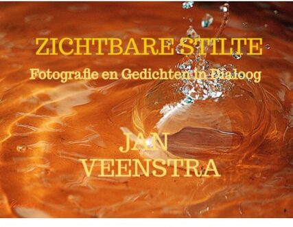 Zichtbare Stilte - Jan Veenstra