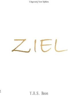 Ziel -  Y.H.S. Boon (ISBN: 9789465113371)