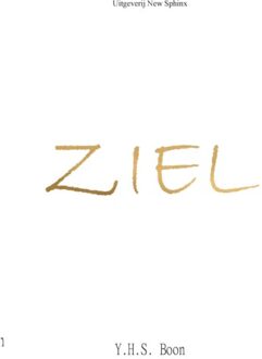 Ziel - Y.H.S. Boon