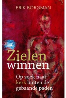 Zielen winnen - Boek Erik Borgman (9492093480)