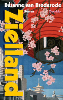 Zielland -  Désanne van Brederode (ISBN: 9789021428505)