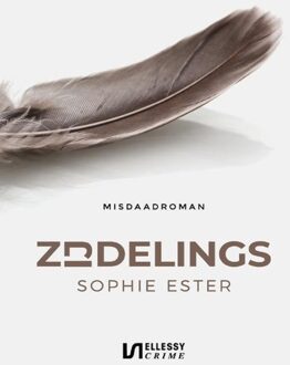 Zijdelings - Sophie Ester - ebook