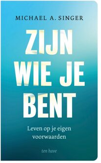 Zijn wie je bent - Michael A. Singer - ebook