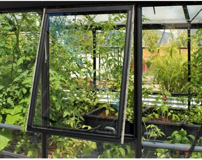 Zijraam H Aphrodite/athena Aluminium Zwart En Kristalhelder Veiligheidsglas 87,6x55,4cm