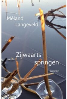 Zijwaarts springen - Boek Méland Langeveld (9491897500)