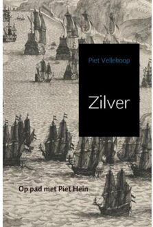 Zilver - Boek Piet Vellekoop (9402152466)