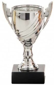 Zilveren trofee beker - eerste prijs - H13 cm - Sportprijs - Metaal