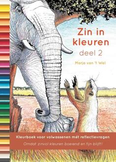 Zin in kleuren / 2 + Deugdenbalans - Boek Marja van 't Wel (9081946323)