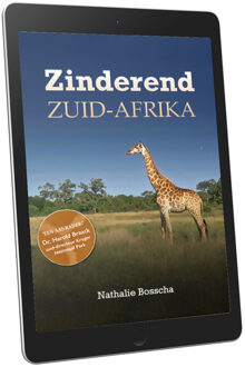 Zinderend Zuid-Afrika -  Nathalie Bosscha (ISBN: 9789493404137)