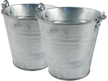 zinken emmer/bloempot/plantenpot - 2x - 10 liter - Tuindecoratie - Bloememmer
