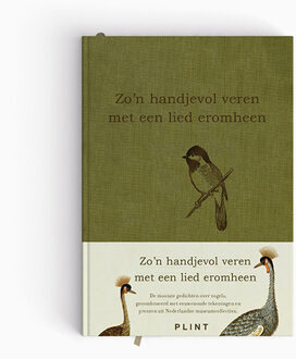 Zo'n handjevol veren met een lied eromheen -  Dichters (ISBN: 9789493352728)