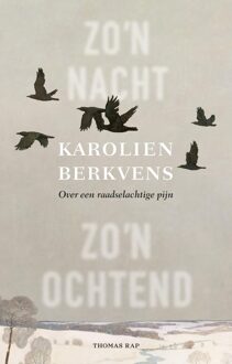 Zo´n nacht, zo´n ochtend - Karolien Berkvens - ebook